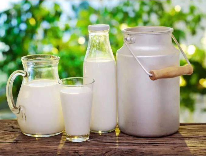 乳制品中的致病菌有哪些？如何解決致病菌超標(biāo)？(圖3)